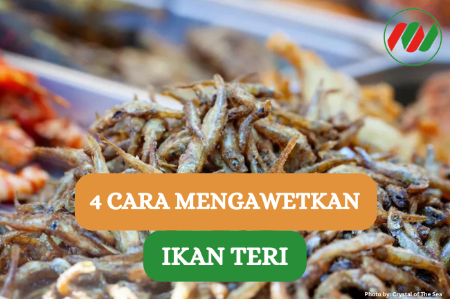 Ini Dia 4 Cara Mengawetkan Ikan Teri Agar Tahan Lama